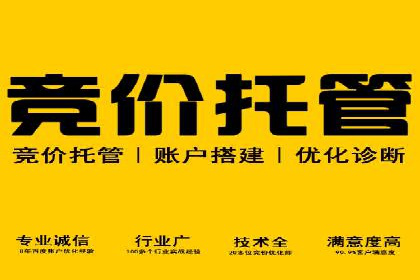 SEM精准广告投放的五大成功案例